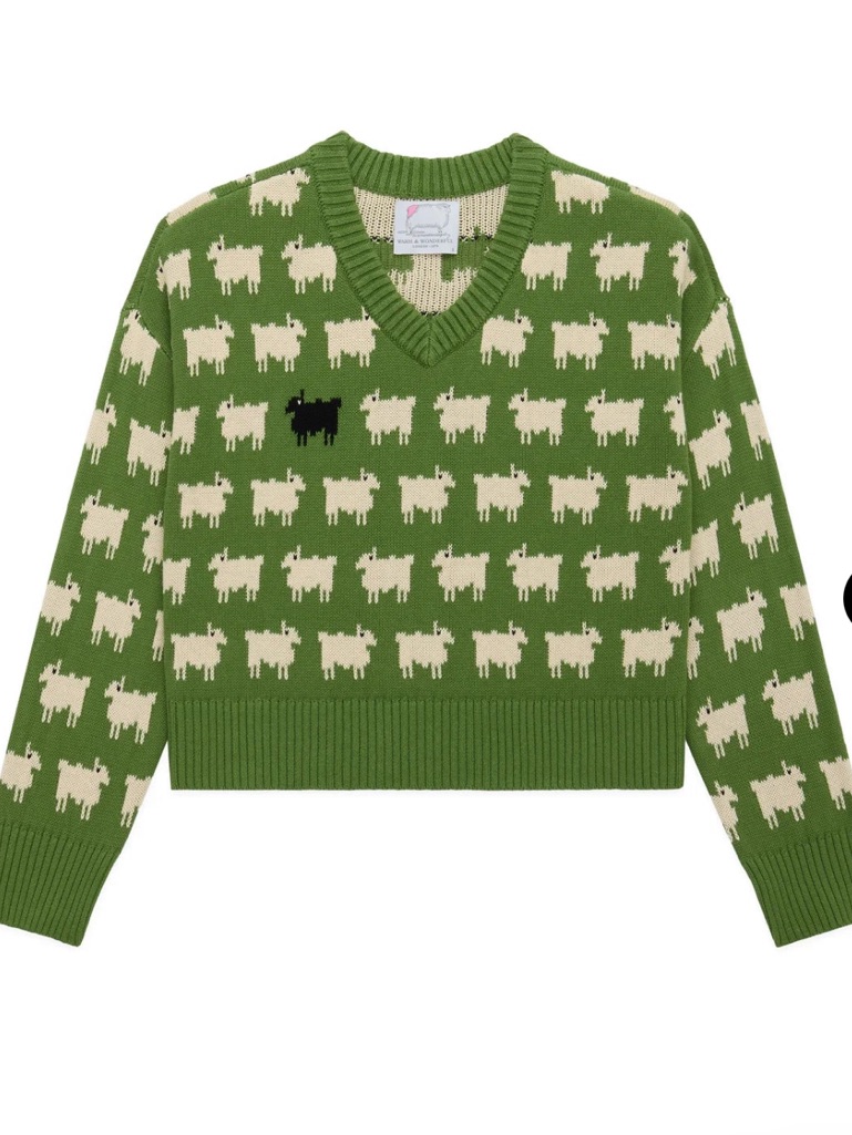 Warm & Wonderful Women's Diana Edition Cotton Linen V-Neck Sheep Sweater Green,S — image 4 of 6
